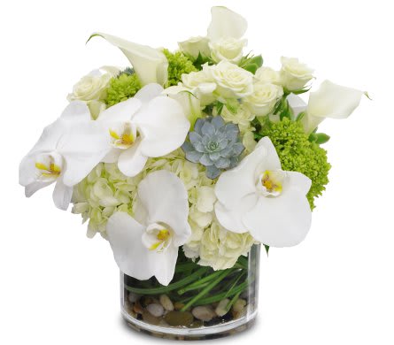 Extravagant Bliss Extravagant Bliss - This arrangement include hydrangeas, succulents, roses, and calla lilies, Accented with lilly grass and stones in a cleaqr round glass vase, this creation exudes elegance with an underlying simplicity.