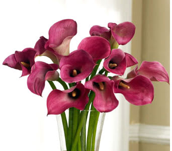 Pink Mini Callas Pink Mini Callas - Pink mini calla lilies in a clear cube vase. Deluxe shown.