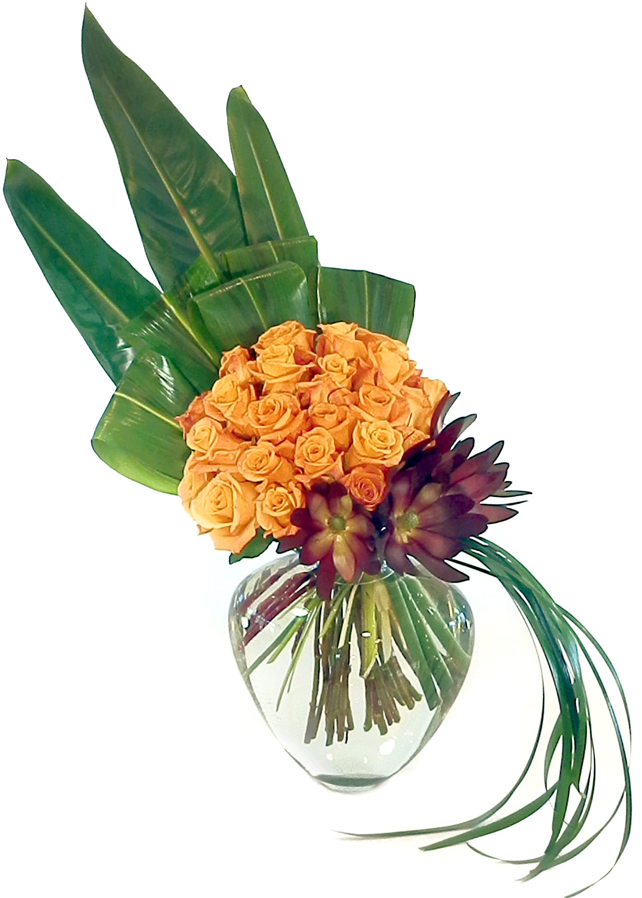 Opulence Opulence - Graceful composition of roses, leucadendron Ti leaves and cascading lily grass.