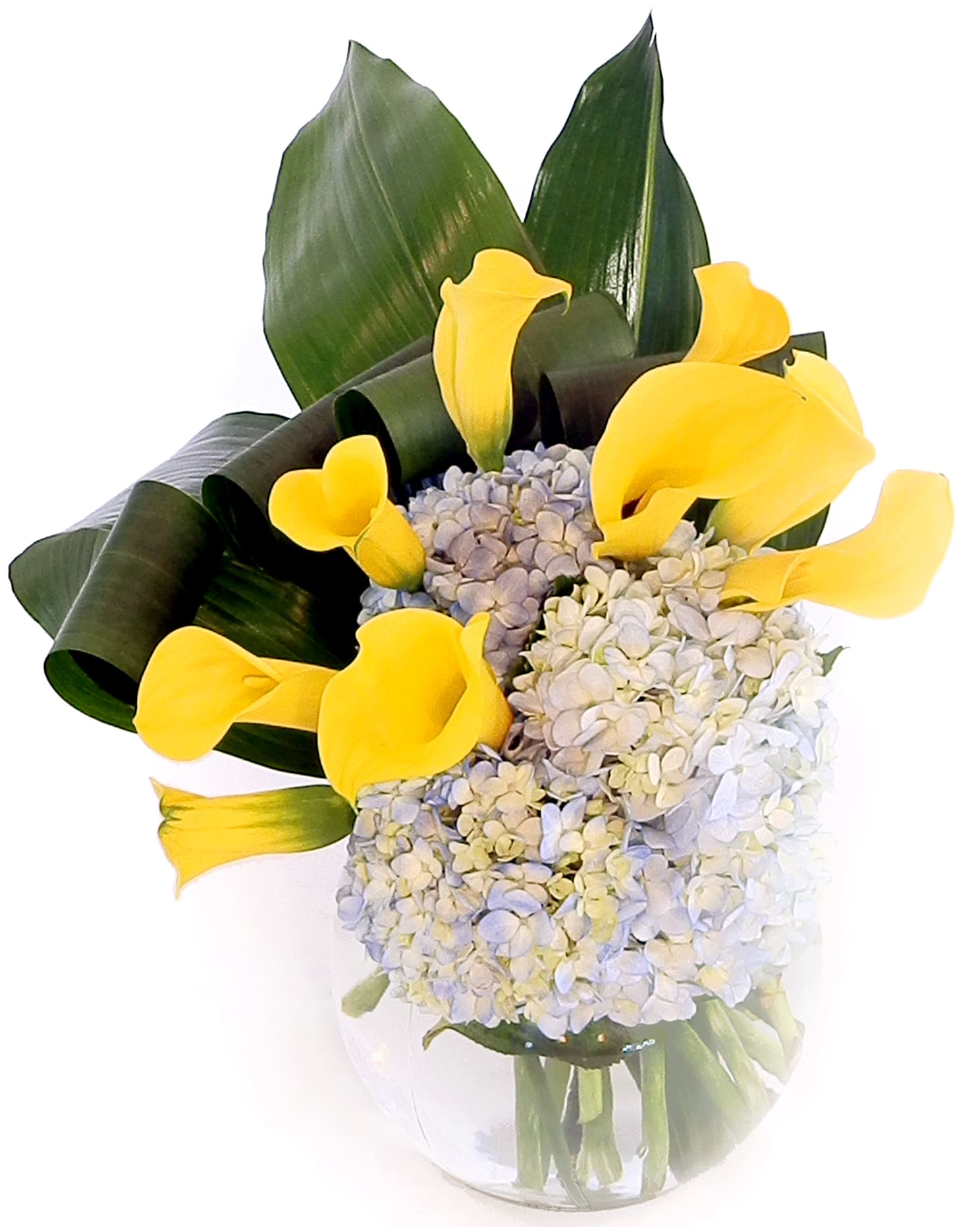 Nobility Nobility - Asymmetrical design of callas, hydrangea, and Ti leaves.