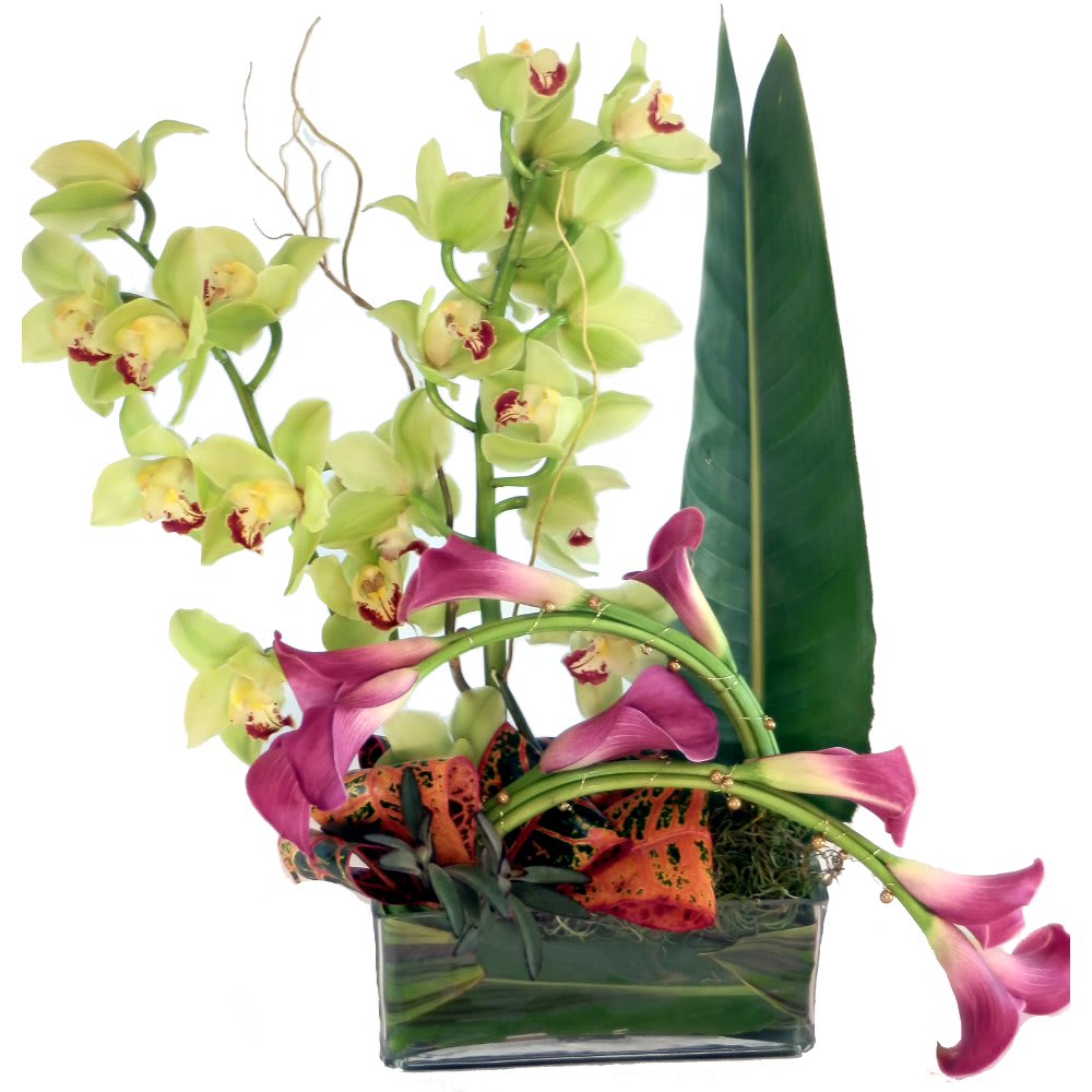 Artistry Artistry - Graceful curves contract with the strong vertical lines in this artistic design design of callas, orchids, and tropical foliage.