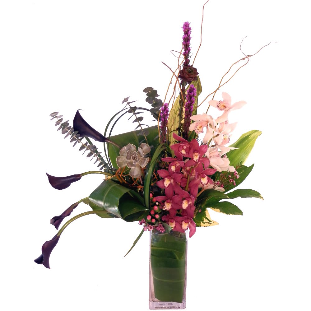Sumptuous Sumptuous - This stately combination of orchids, calla lilies, and liatris accented with limonium, eucalyptus, and curly willow in a clear tall, square, heavy glass vase.