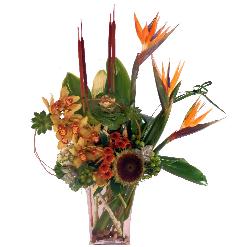 Tropical Harvest Tropical Harvest - Lush arrangement of Birds of Paradise, orchids, and succulents accented with cattails and hypericum berries. In an upscale glass vase set with river rock and ti leaves.