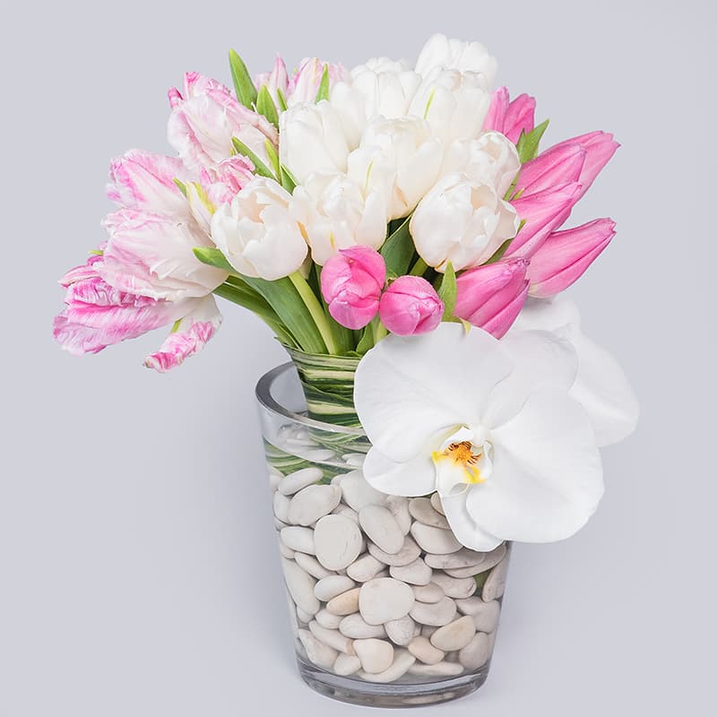 Our Two Lips - This sweet arrangement of two colors of tulips will be a perfect addition to any desktop or bedside table for that special person to enjoy!  *can be customized to include your preferred colors!