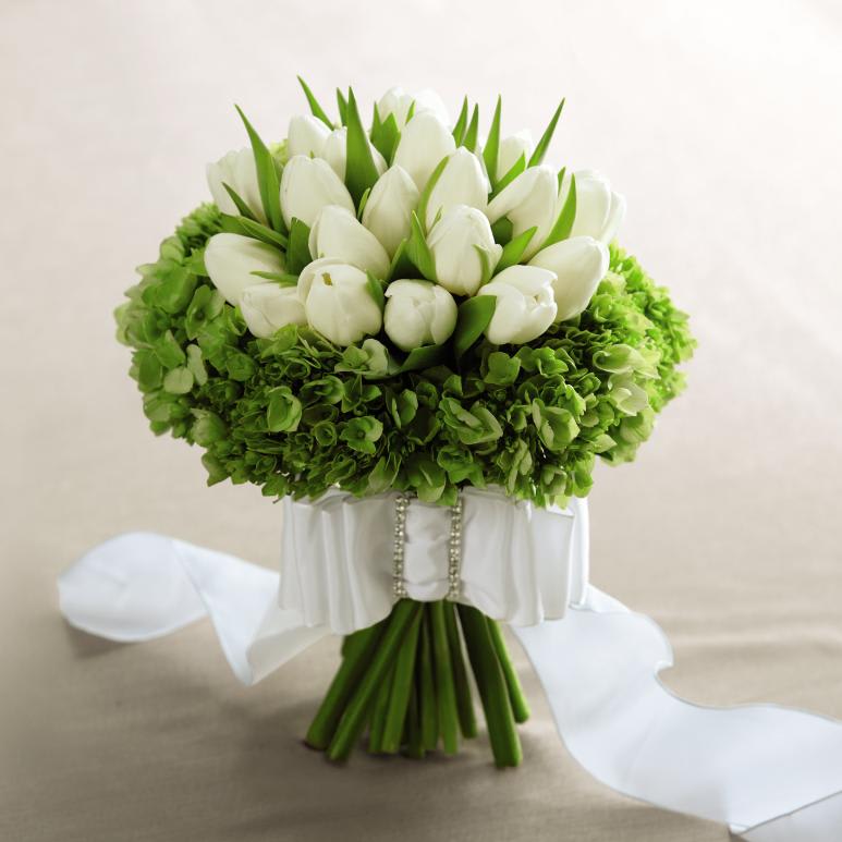 Tulip Bridal Bouquet - This Bouquet is the picture of modern perfection. White  tulips are arranged in the center of the bouquet and then surrounded by green mini hydrangea blooms to create a memorable look. Accented with a  wide white French taffeta ribbon, this bouquet is an ideal way to walk down the aisle in style and grace. Approx. 10âH x 13âW. 