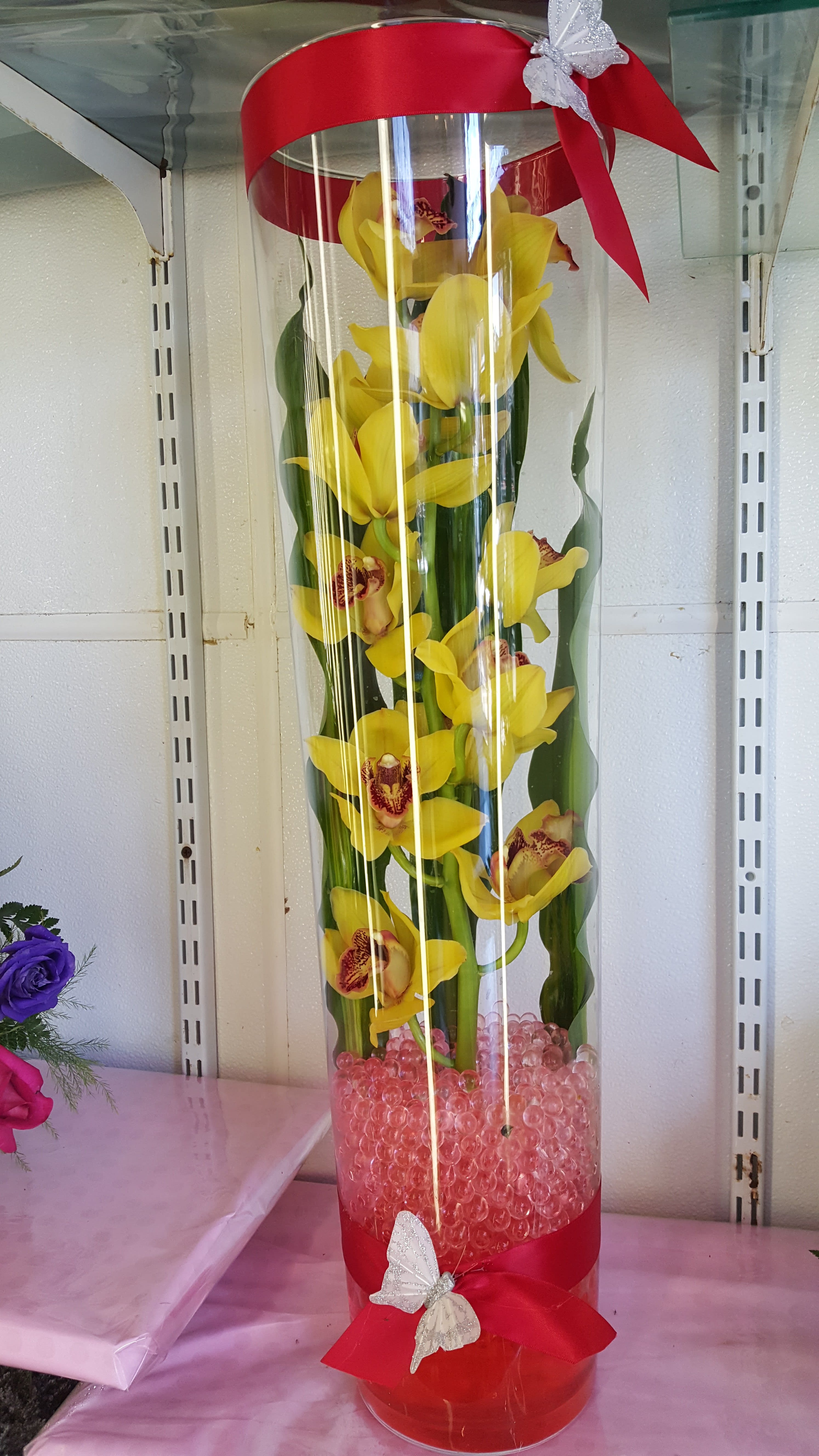 cylinder - cymbidium orchid, aspidistra and butterfly