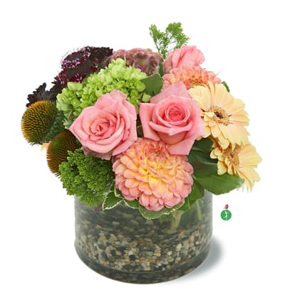 Simply Beautiful - Show that you care, this blushing beauty of a bouquet will lend a touch of glamour to any room. Featuring a medley of gentle blossoms such as roses and hydrangea – and nestled into a cylinder vase – it’s a truly gorgeous gift.
