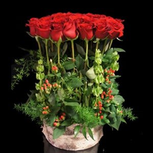 Rose Hedge - Dozen Roses in a modern design with hypericum and bells of Ireland