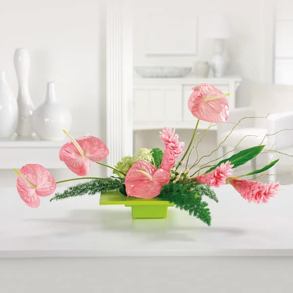 Anthurium Elegance - Beautiful Anthurium in serene oriental design
