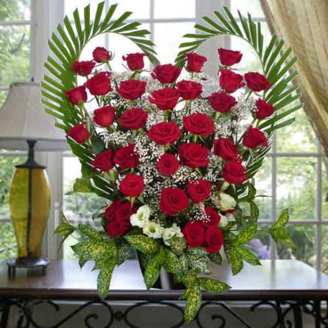 Heart of my Heart Heart of my Heart - With all your love.... Over Two dozen Roses
