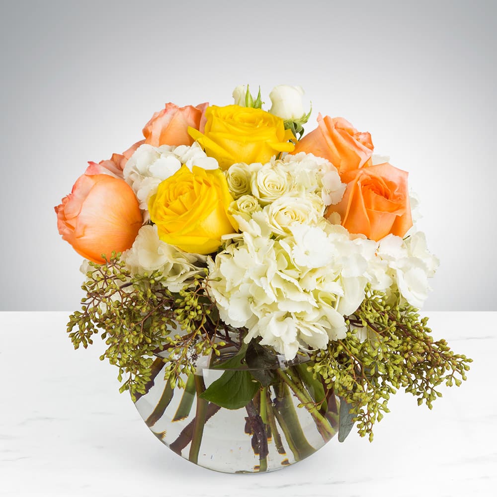 Cheery Moments by BloomNation™ - Brighten someone's day with this cheerful bouquet. This arrangement includes roses and hydrangea and is the perfect gift for a birthday, to celebrate new beginnings, or to cheer someone up. APPROXIMATE DIMENSIONS: 10&quot; D X 11&quot; H