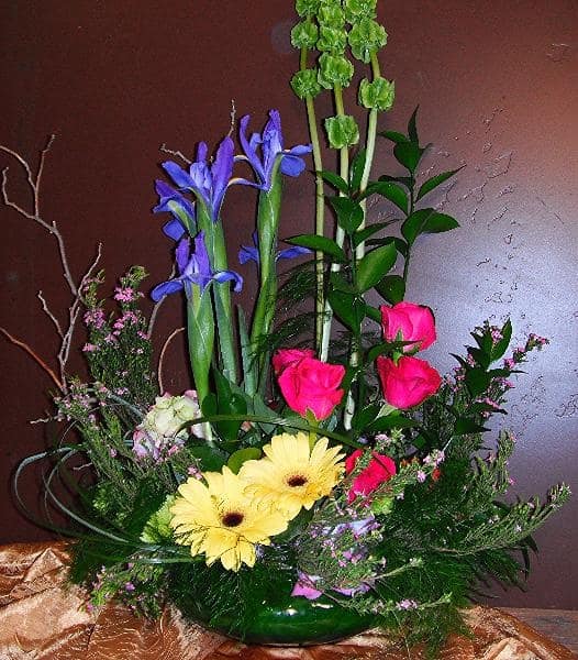 Garden of Eden - A beautiful gift for all occasions. Everyone loves this style as it captures the gardeny vision with contemporary flair.