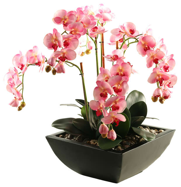 Artistic Orchid Design - Orchids are famous for their elegance, boasting an exotic mix of delicacy, drama and mysterious allure.They are certain to smile when you lavish them with this beautiful orchid plant. Measures 24&quot;H by 8&quot;L.