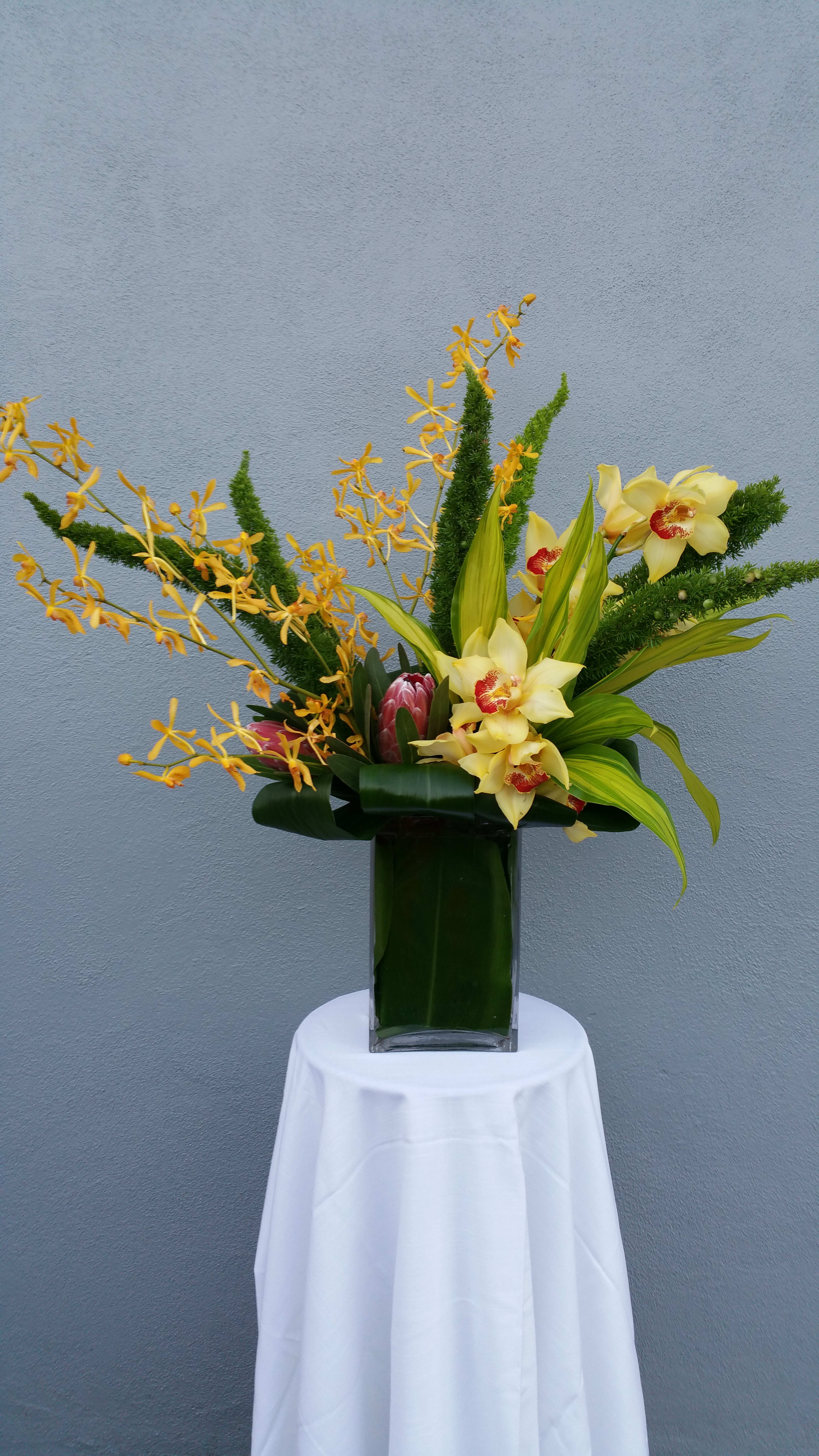 tropical fever - Yellow cymbidiums  yellow James story orchids tropical leaves proteas