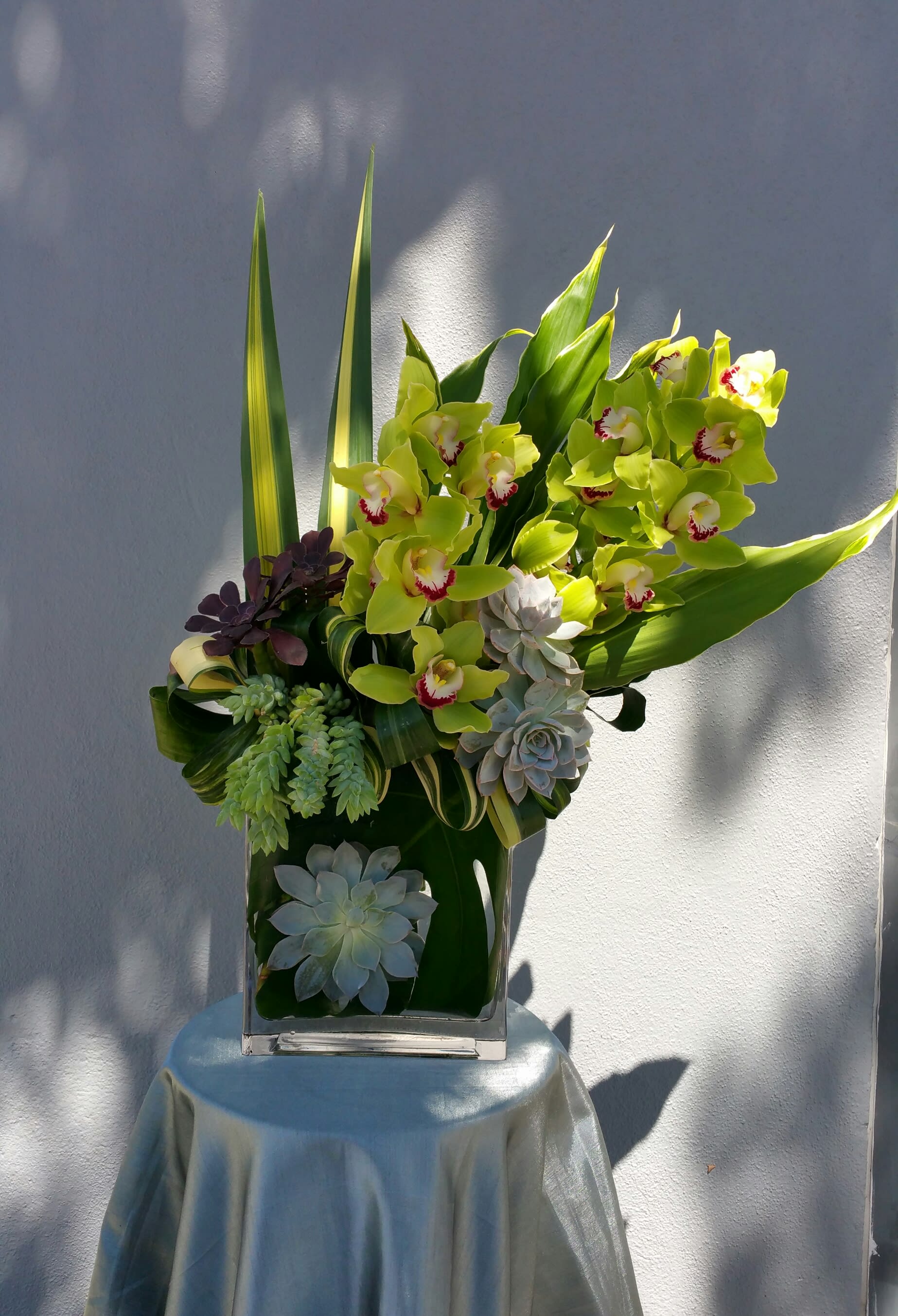 a succulent day away - Succulents cymbidium orchids exotic leaves