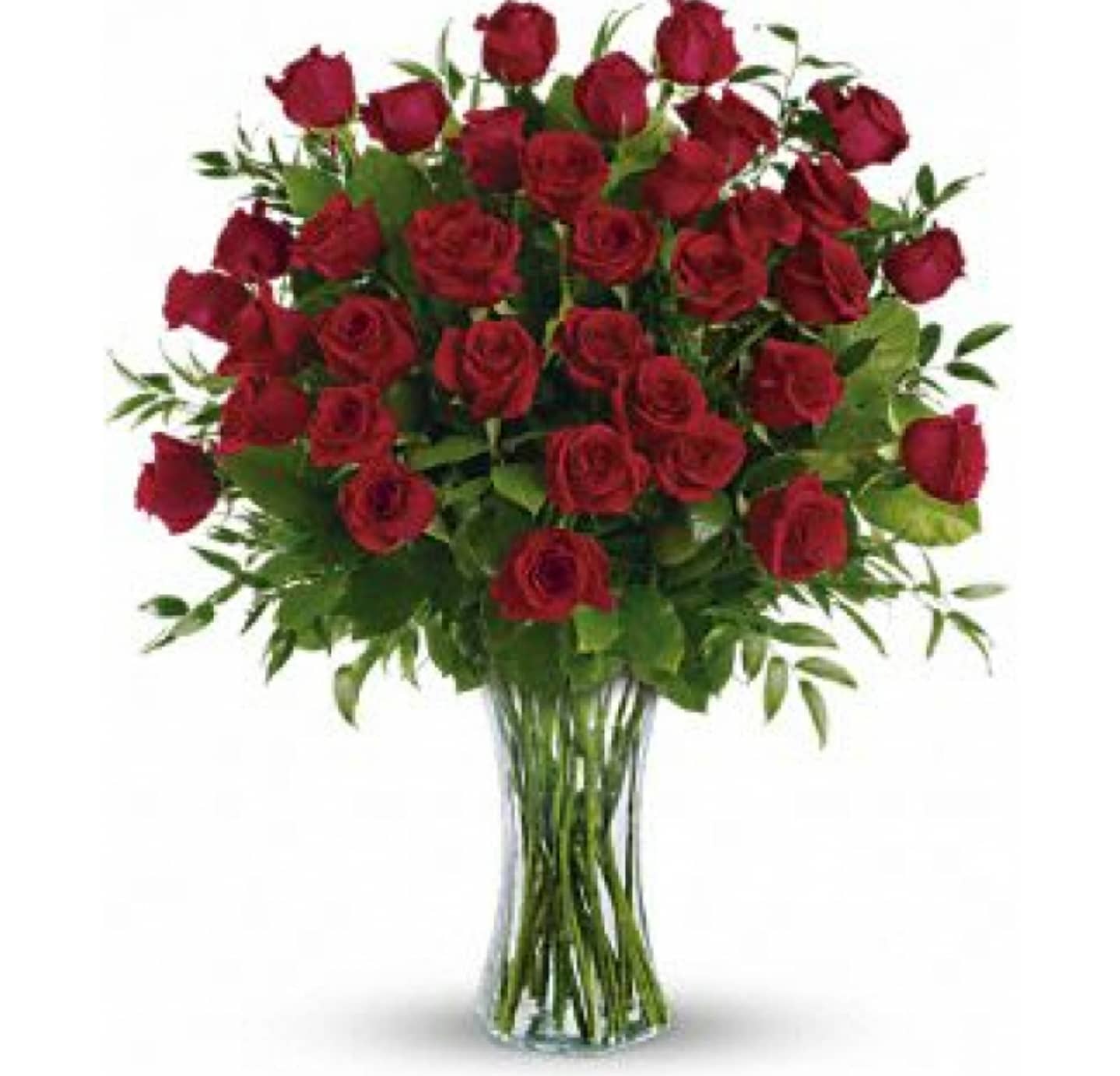 Yours truly - 24 red roses and greens