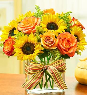 Modern Enchantment for Fall Modern Enchantment for Fall - The natural beauty of orange roses and radiant sunflowers is made brighter by their original arrangement in an elegant, modern rectangular glass vase. Artistically designed by our expert florists and accented with a seasonal ribbon to make any celebration truly enchanting. Item # 91915