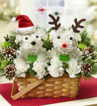 Santa Paws & Reindeer Santa Paws & Reindeer - Our holiday hound-shaped a-DOG-able® arrangement is coming to town, ready to deliver smiles! Hand-arranged from fresh carnations and fragrant greens inside a willow dog bed, he's decked in a Santa hat and glasses and accented with festive ornaments. Pair him with our Santa's Best Reindeer™ arrangement and guide your special someone to a truly original Christmas. Item # 98394/98940