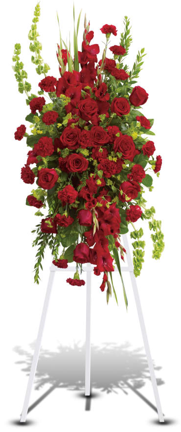 Care and Compassion Spray -  This elegant, all red funeral spray conveys compassion and deep devotion. Presented on a traditional easel, it features a beautiful array of red funeral flowers accented with unique bells of Ireland and other graceful greens.    Item # T230-1A 
