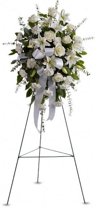 Sentiments of Serenity Spray -  Channel your inner peace with fresh white blossoms; send this Sentiments of Serenity Spray flower arrangement to express your thoughtfulness and heartfelt sentiments. Delivered on an easel, it's as clean and pure as a snowfall in winter.    Item # TFWEB535 