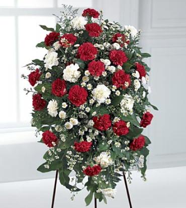 Crimson & White Standing Spray Crimson & White Standing Spray - This traditional spray is presented in red and white. Vibrant red carnations blend with white carnations, Monte Casino, and white button pompons. Delivered on an easel, this one-sided design is suitable to send to the funeral home or memorial service. Item # S27-3808