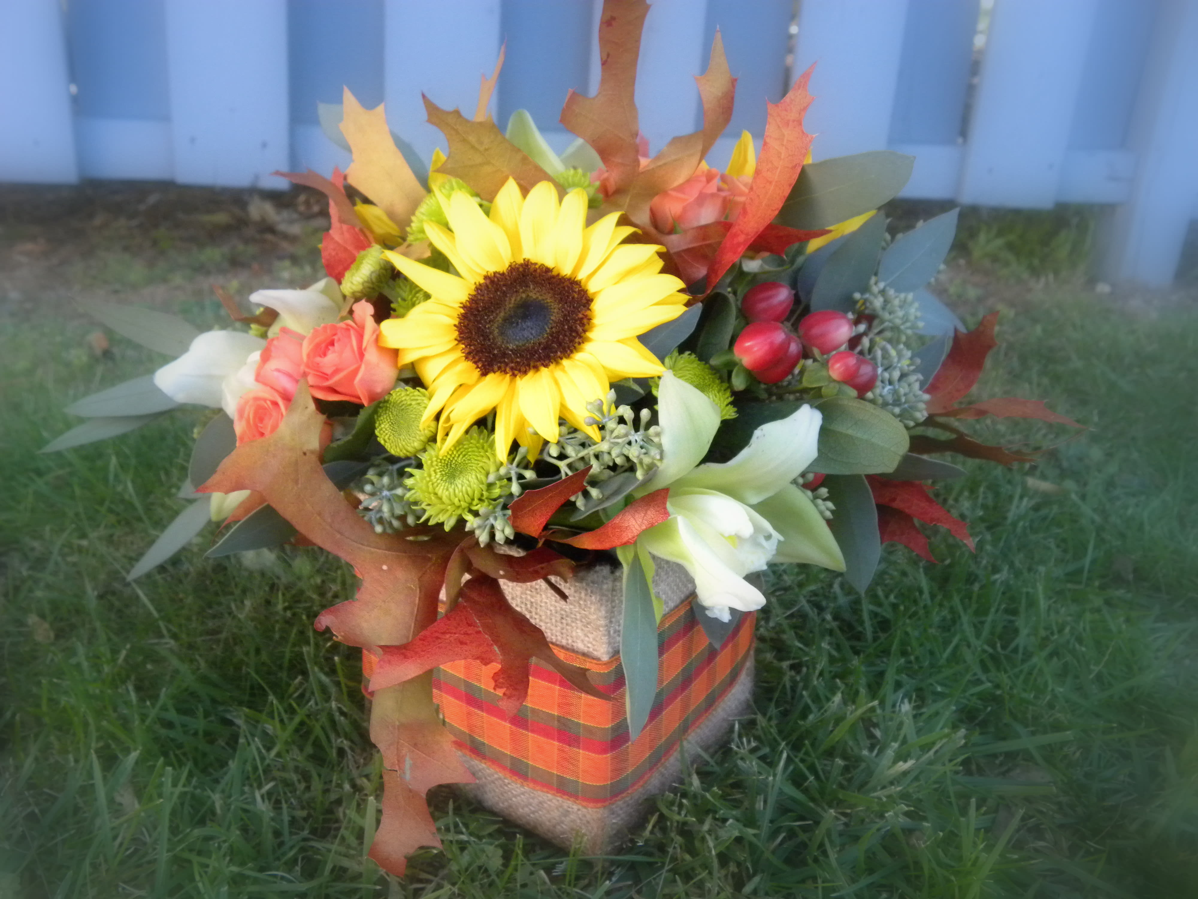 Box of Autum - Beautiful arrangement of sunflowers, spray roses, cymbidium orchids, green buttons, red hypericum berries, seeded eucalyptus and oak leaves 