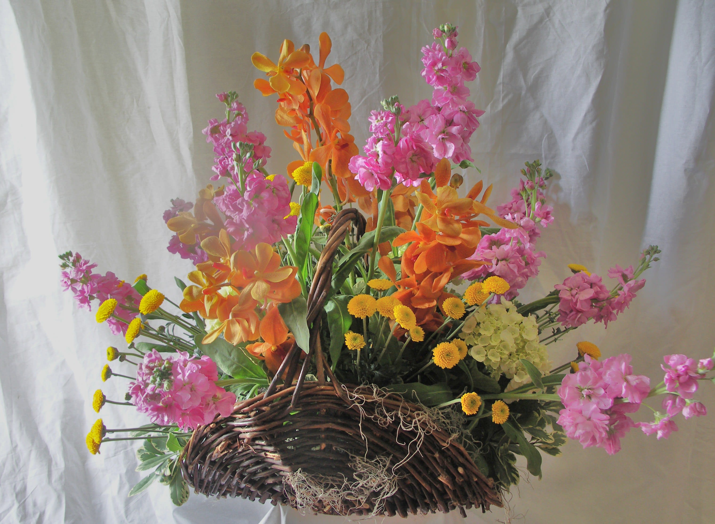 Sunshine in a Basket - Bright orchids and spring flowers in a fireside basket