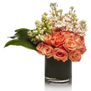 Coral Crush by Sophisticated Blooms - A contemporary arrangement using coral roses and blush blooms accented with simple greens in a premium glass vase.  • Coral/Peach Roses • Pink Stock Flower • White Fillers • Greenery Accents • Personalized Gift Message • Glass Cube or Cylinder Vase • The premier luxury floral gifting experience