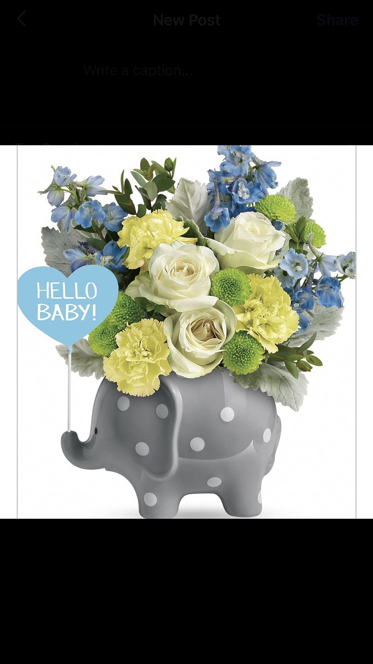 Teleflora baby boy outlet