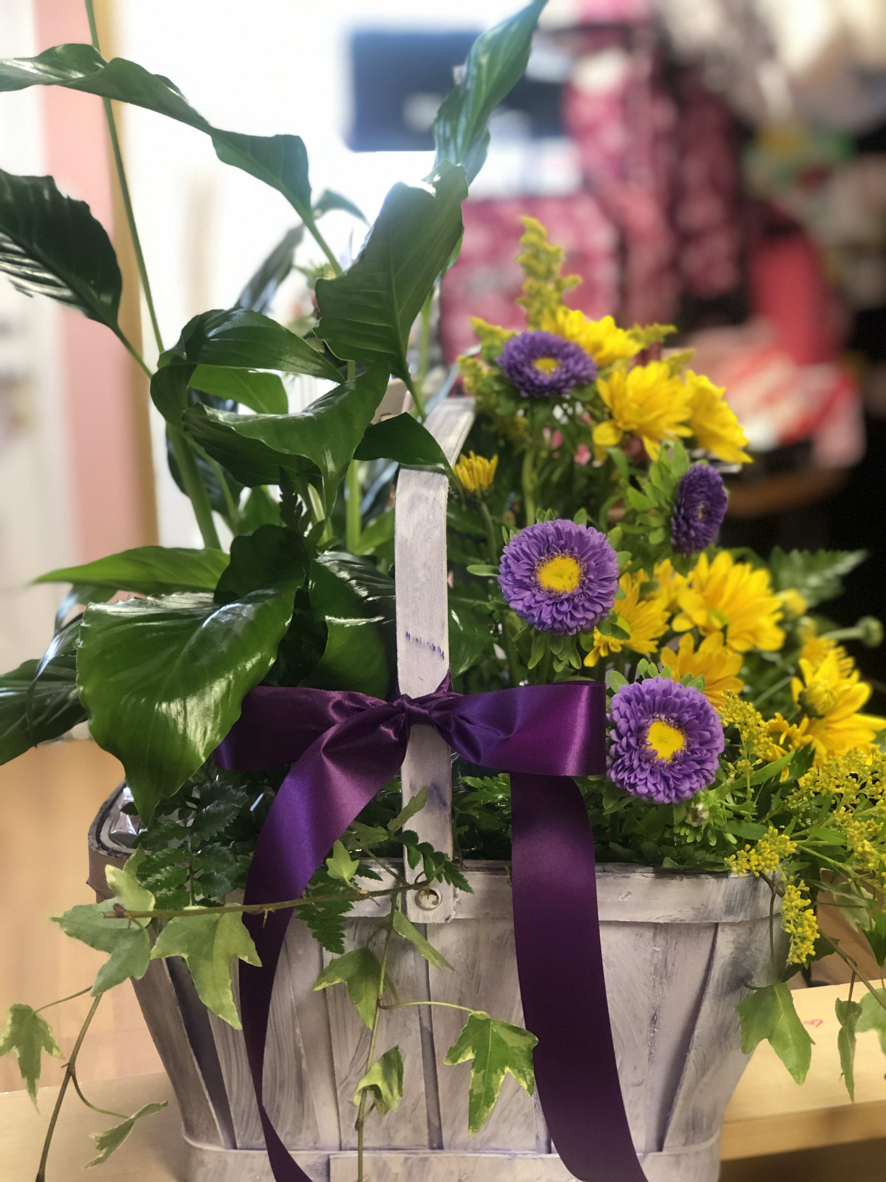 Mixed Plant Dishgarden By Destiny S Precious Gifts