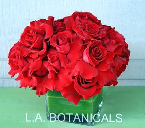 L'Amour  - A contemporary and lavish display of two dozen velvety red roses massed together in a glass cube lined with green leaves. Equally great as a gift for the home or office. Approx. 12&quot; square.   NEED A TIMED DELIVERY? If you require an order to be delivered within a 3 hour window you MUST add our “Rush Delivery.” Specify your 3 hour window request in “Florist instructions” during the checkout process. (All deliveries are made between 9 a.m. and 4 p.m. only)