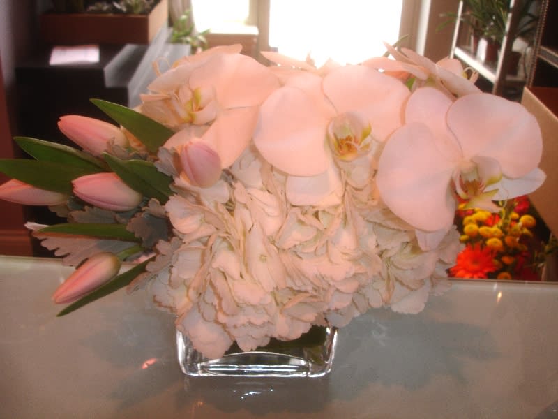 Blush - Phalaenopsis orchids, hydrangea, &amp; tulips in a square glass container.