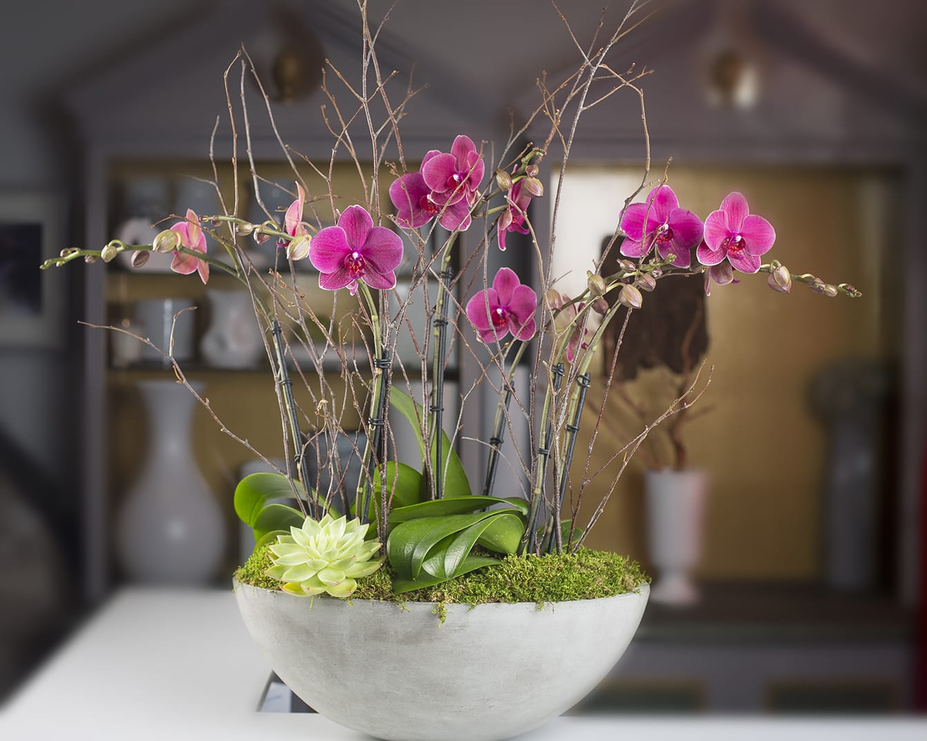 Orchid Garden - Orchids with succulent in an oval concrete container.