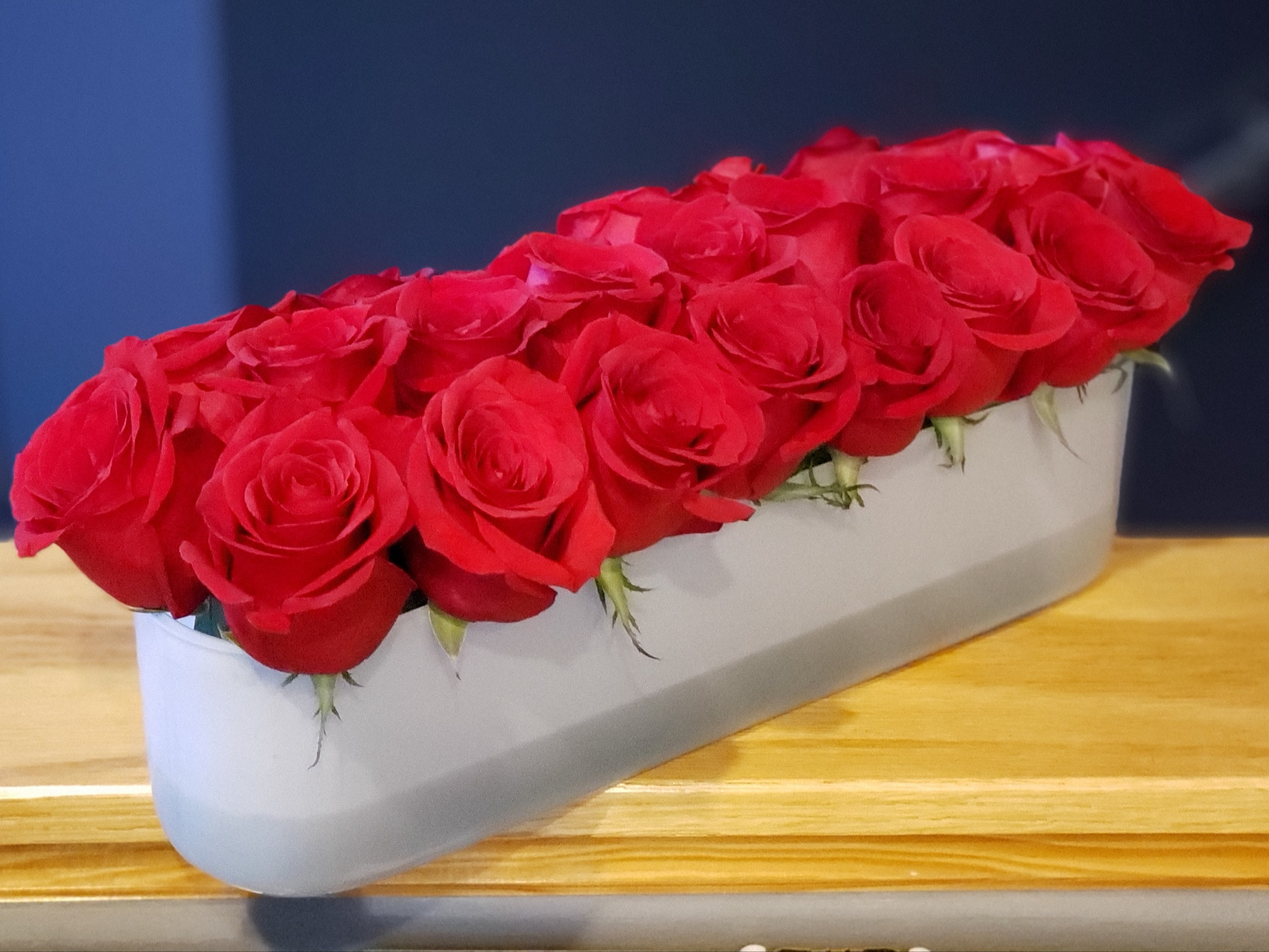 Tic Tac  - 24 velvet red roses in a white glass oval container