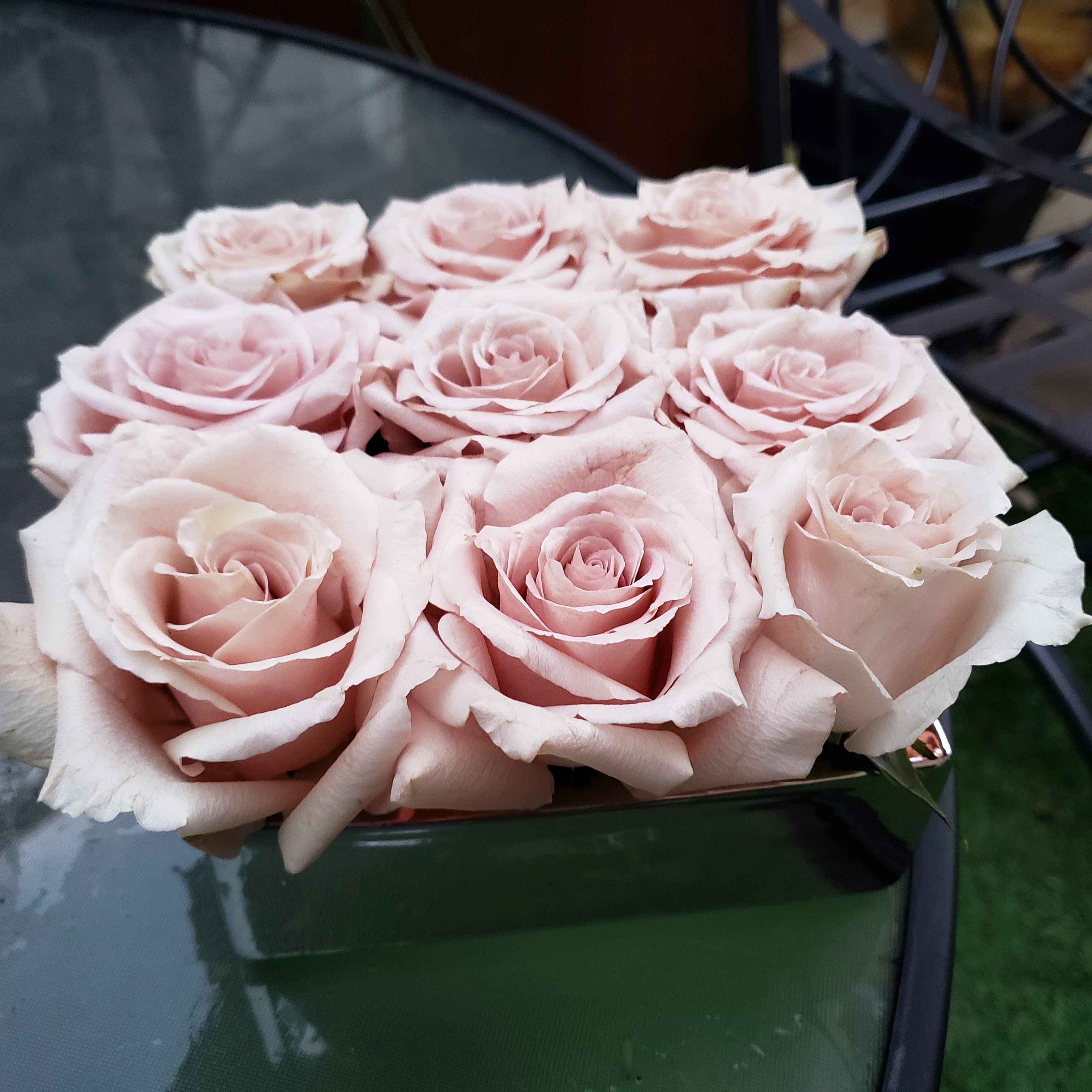 Don't Blush - Blush roses in a low square chrome container. (9stems)
