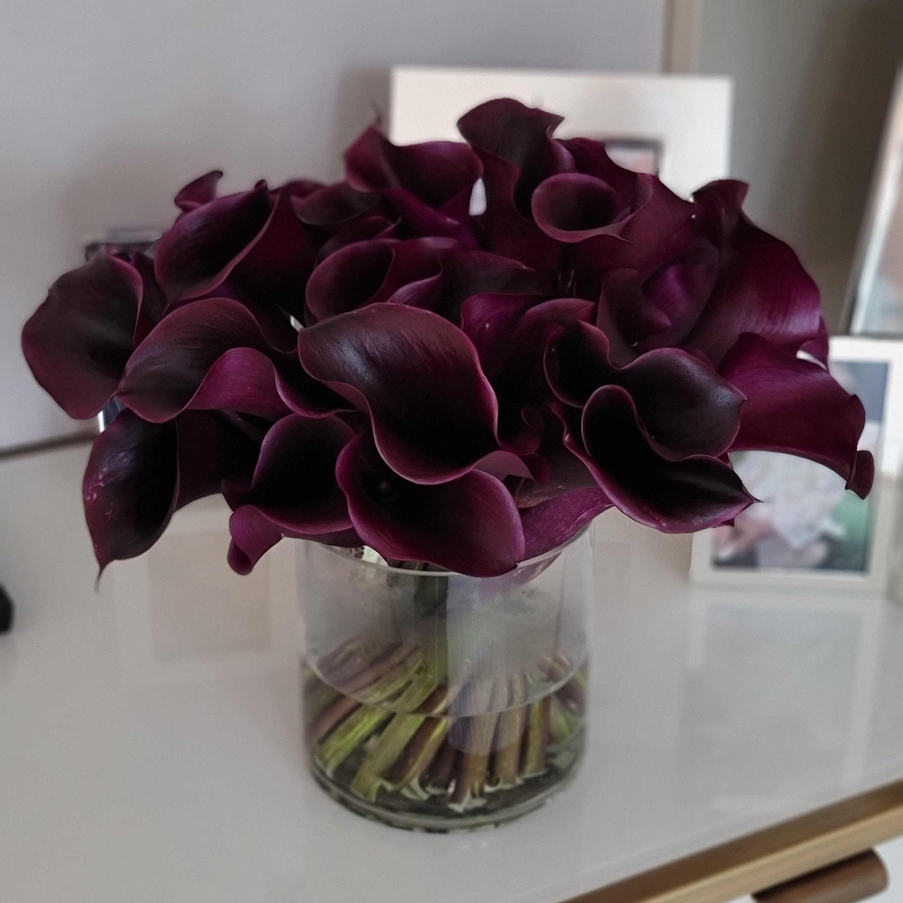 Calla Millie - 3 dozen black arum calla lily in a glass container