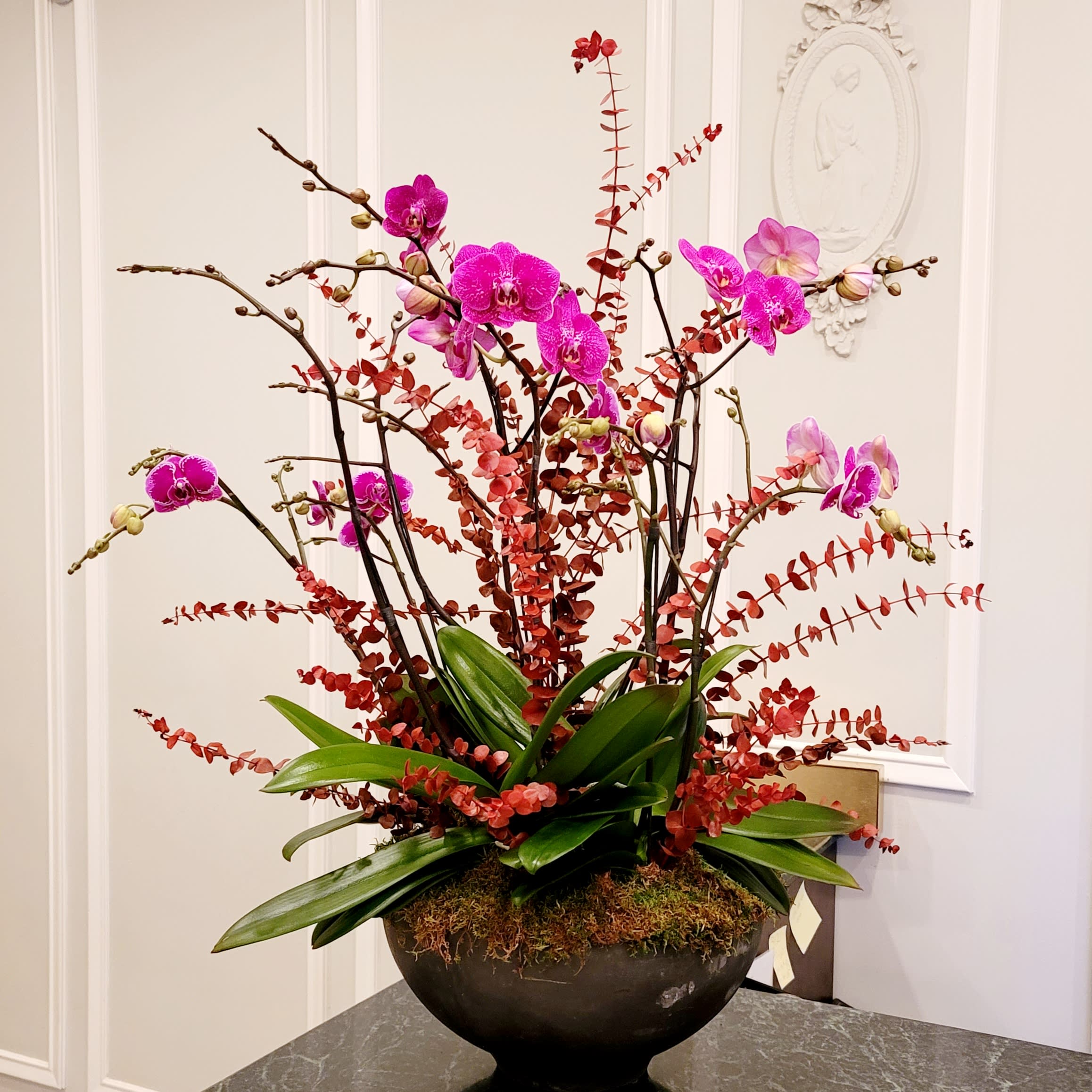 Ultra Lux  - Phalaenopsis orchids in a cement container with eucalyptus 