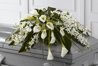 Pure Grievances - The casket spray to show the departed family your truthful grievances! Order one today.    White Calla Lilies,  White Dendrobium Orchid stems, Green Hydrangea Blooms, Monstera and Aspiidistra leaves    Approximately   36&quot; W x 22&quot; D