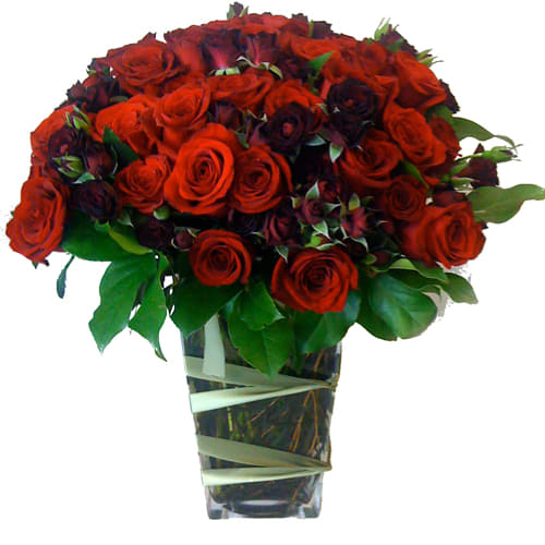 Red and Burgundy 50 Rose Bouquet - Mixed hues of red to show that special woman you adore her. ( substitution for type of roses or dark color all together may be necessary.)   