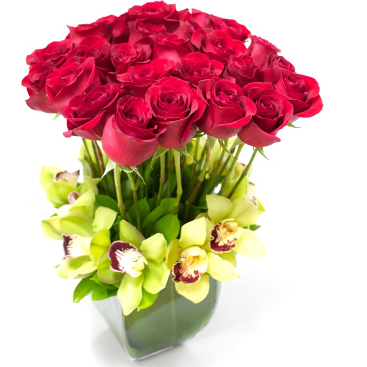 2 dozen Roses with Orchids 2 dozen Roses with Orchids - 2 dozen Red roses accompanied with Green Orchids Approx. 16" Tall (Orchids available on a first come first serve) substitution for type of orchid or orchids all together may be necessary.