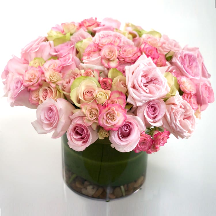 Spring Roses Spring Roses - 100 Blooms of variegated Roses