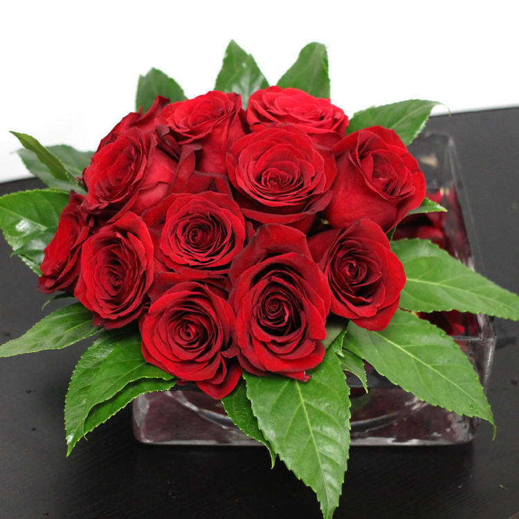 dozen red roses  - red roses in a low square vase