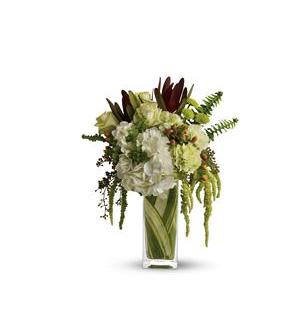 Telelfora's Nature's Kiss Telelfora's Nature's Kiss - An exotic mix of flowers including white hydrangea, leucadendron, red hypericum, green roses, green carnations and hanging amaranthus accented with bupleurum, sword fern and eucalyptus. Delivered in a clear, leaf-lined bunch vase.