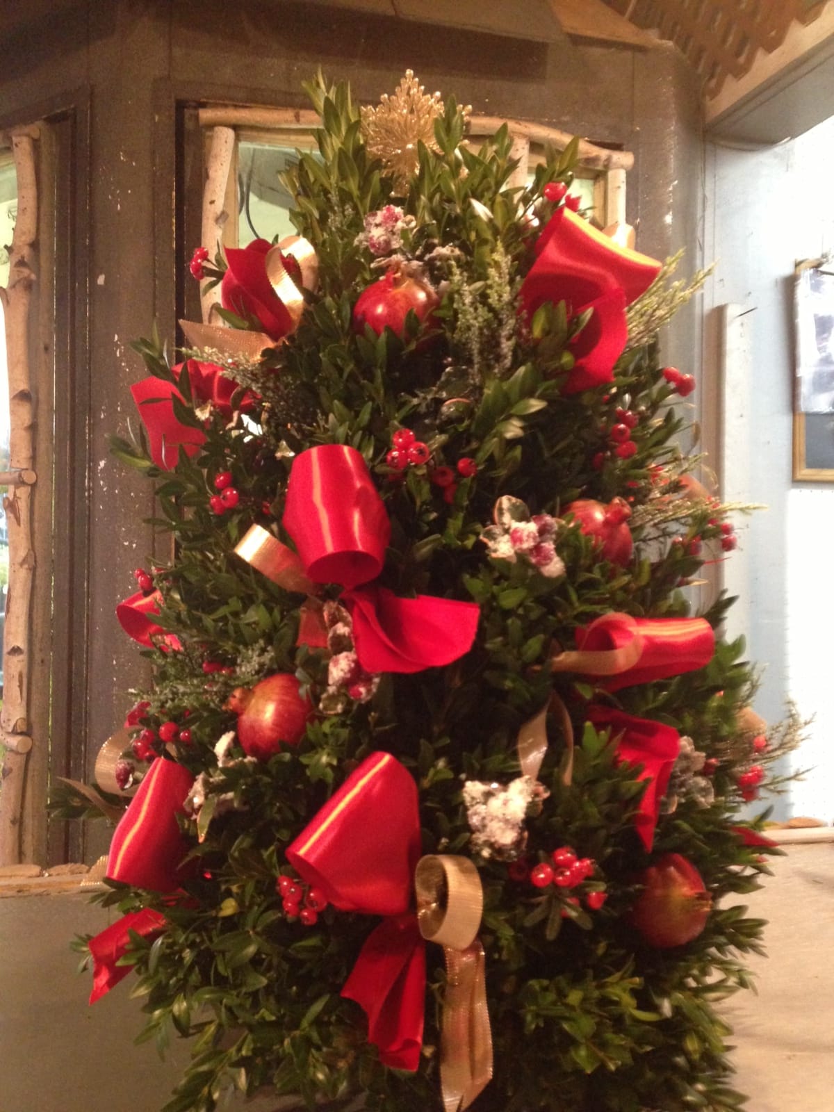 Boxwood Tree In Wakefield Ma Gregory S Flower Shop And Garden Center