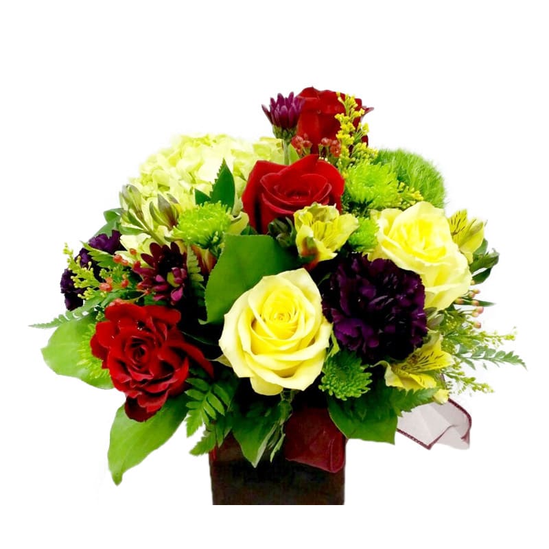 Delight Delight - Vibrant roses, carnations and hydrangeas in a red vase
