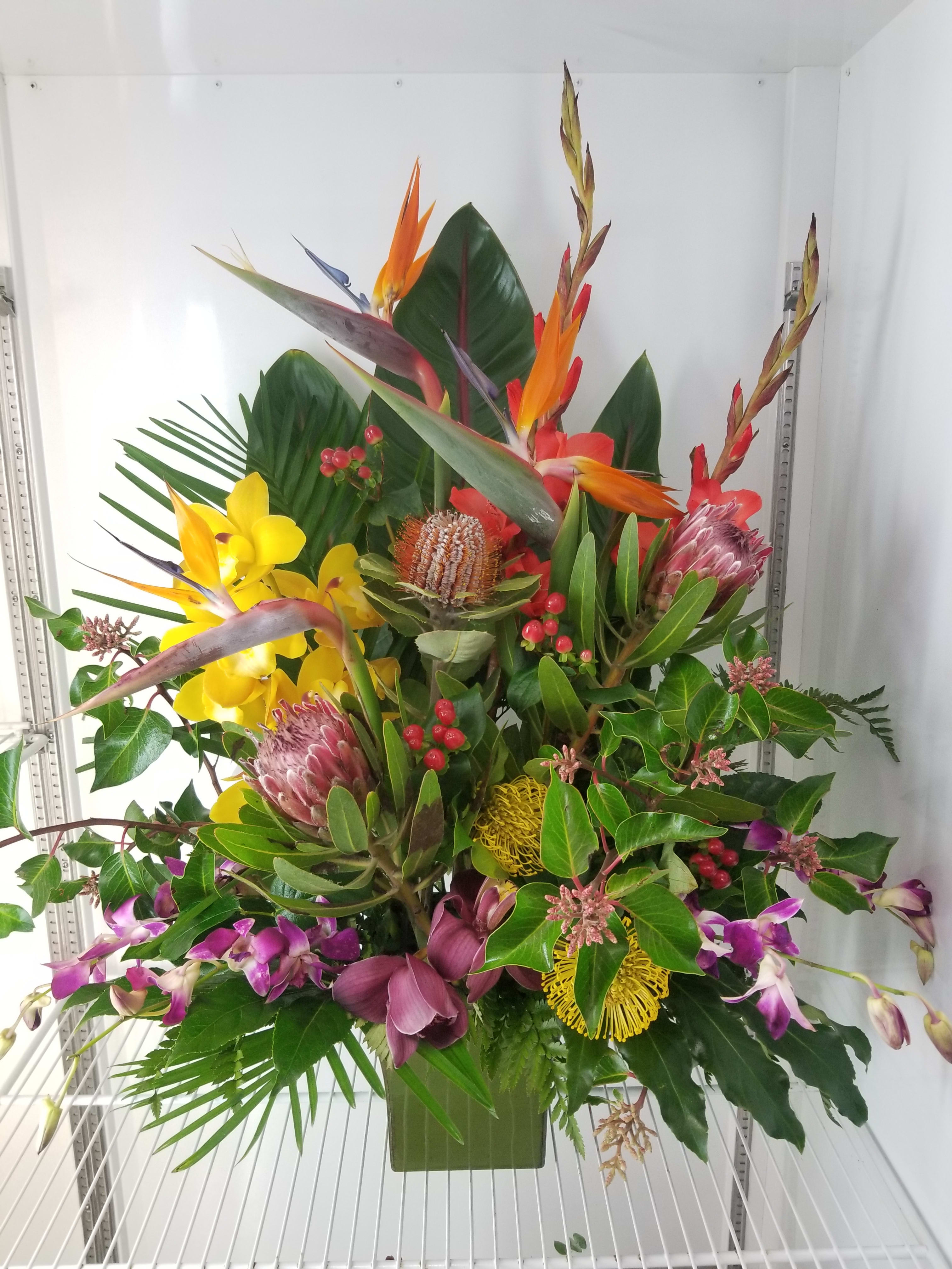 Tropical Premium in Huntington Beach, CA | Seacliff Florist