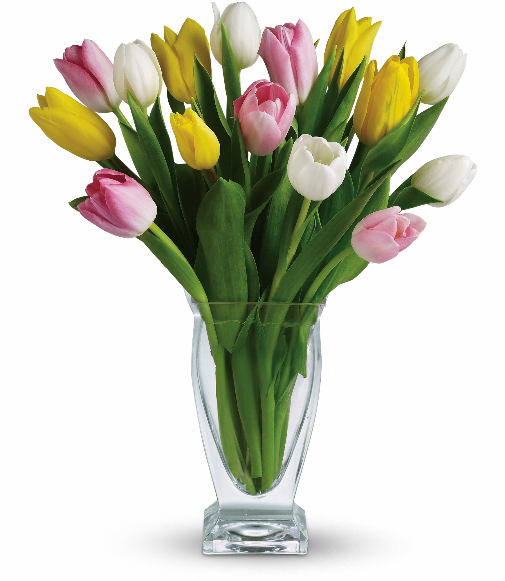 Tulip Treasure T142 1a In Newport Beach Ca Newport Florist