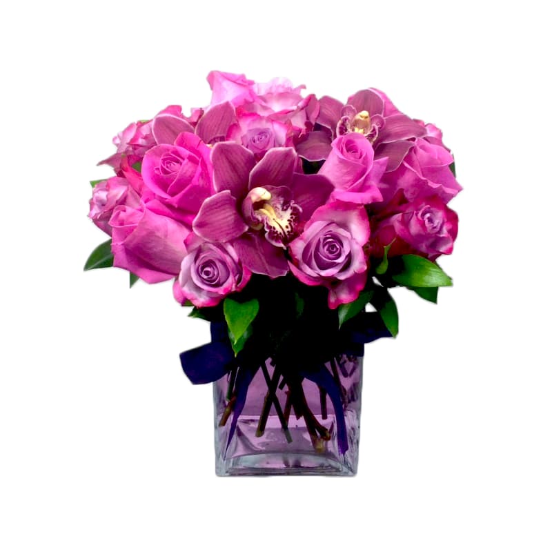 Perfect Purple And Pink Roses By Newport Florist Nf234 In Newport Beach Ca Newport Florist We are raising awareness and funds through team in training to fight blood related cancers together in memory of our girls. perfect purple and pink roses by newport florist nf234 in newport beach ca newport florist