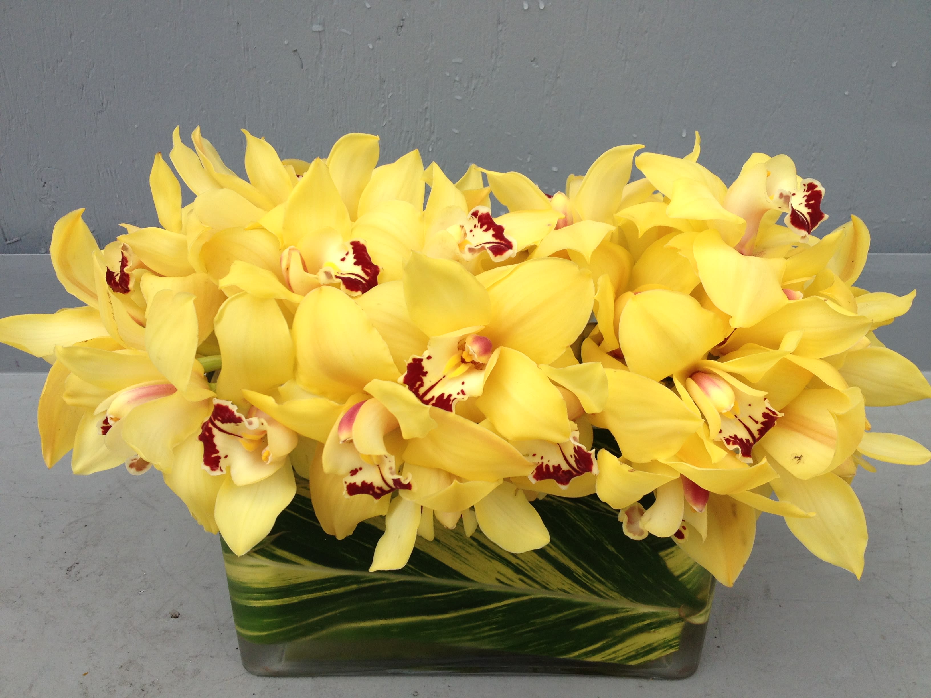Yellow Cymbidium Orchids In Los Angeles Ca La Fleur By Tracy