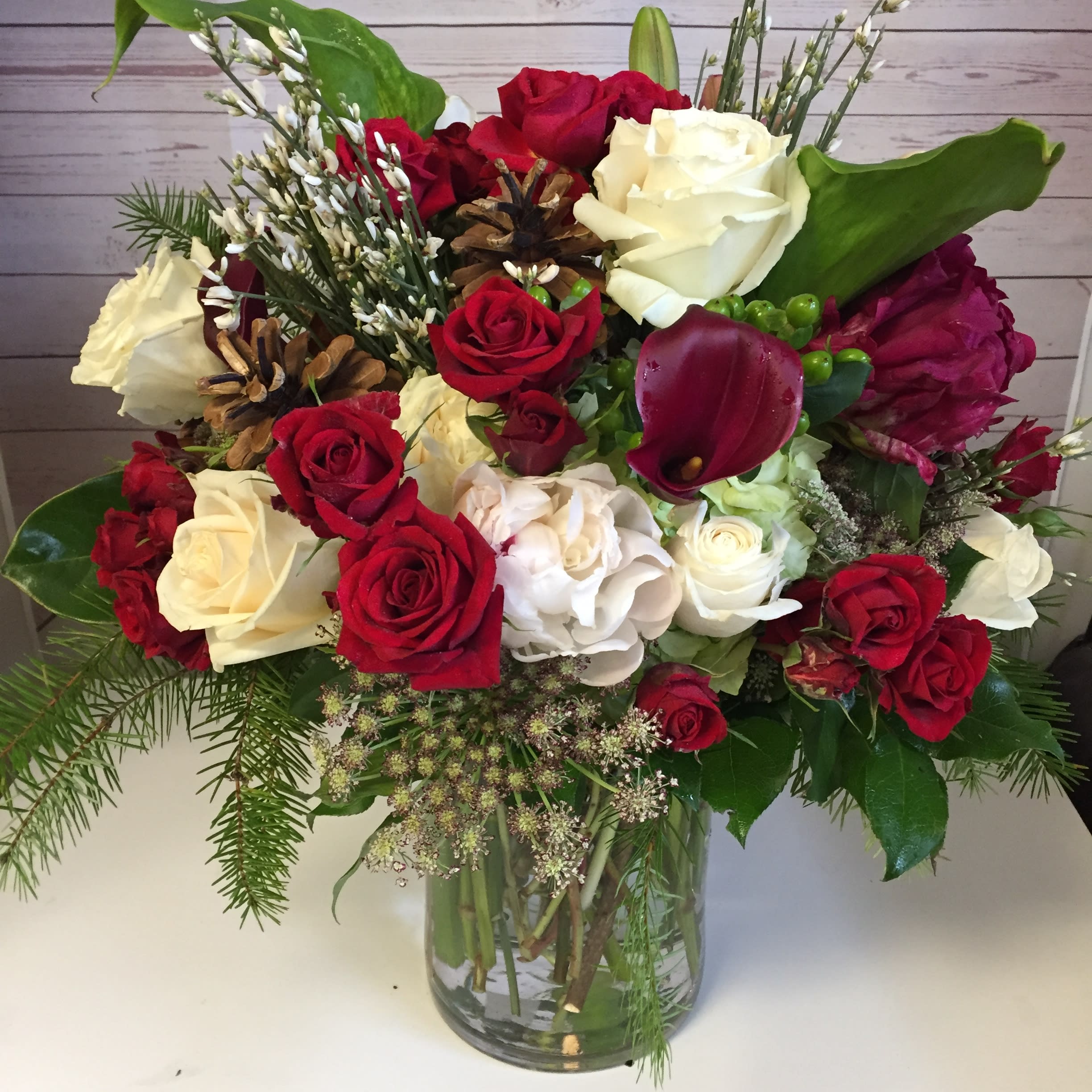 Big Full Winter Reds and Whites in Concord CA Full Bloom